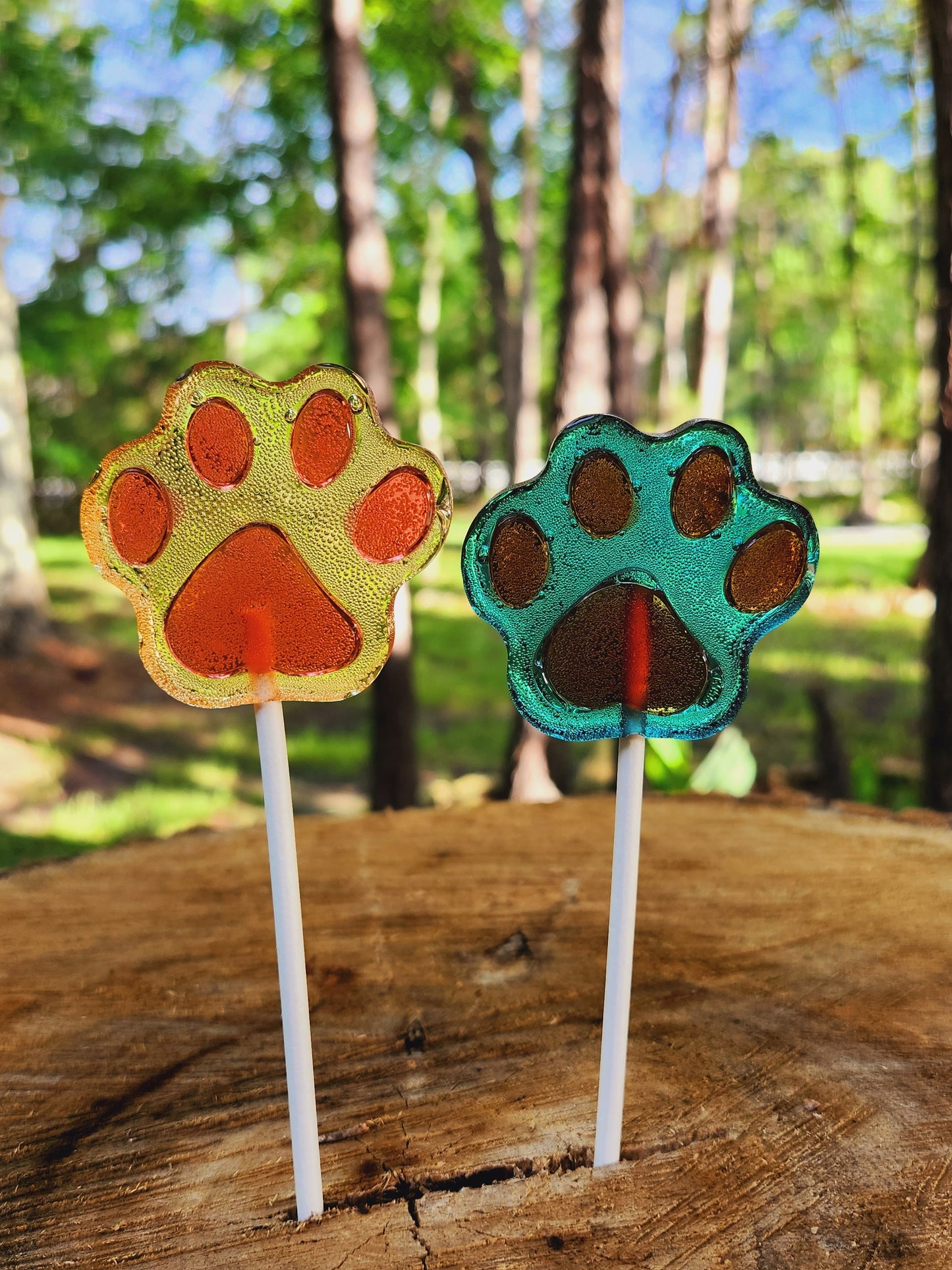 Handmade paw print lollipops in yellow and blue clear candy on wooden sticks