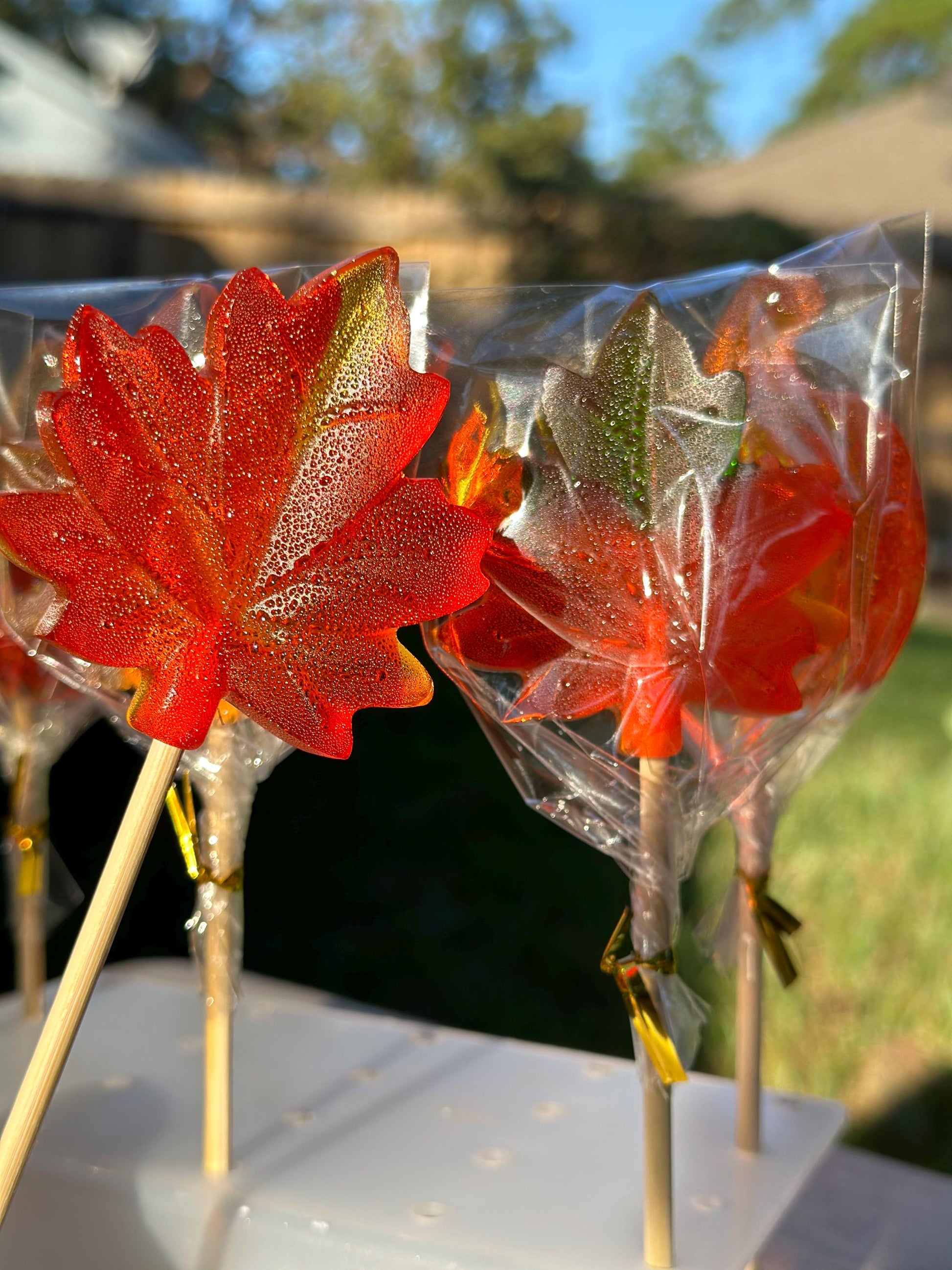 Handmade autumn lollipops in warm seasonal colors