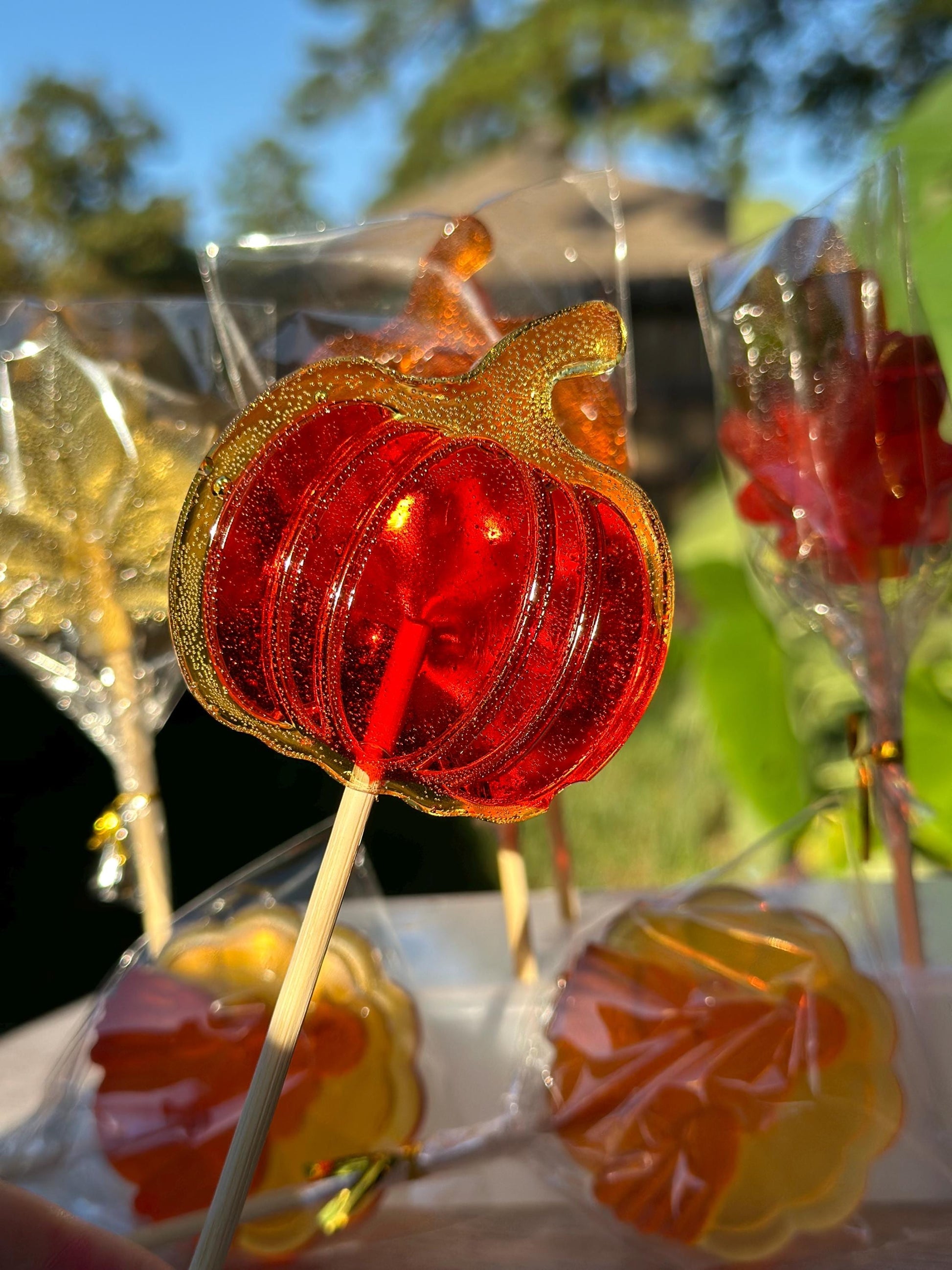 Handmade orange pumpkin lollipops with green stems