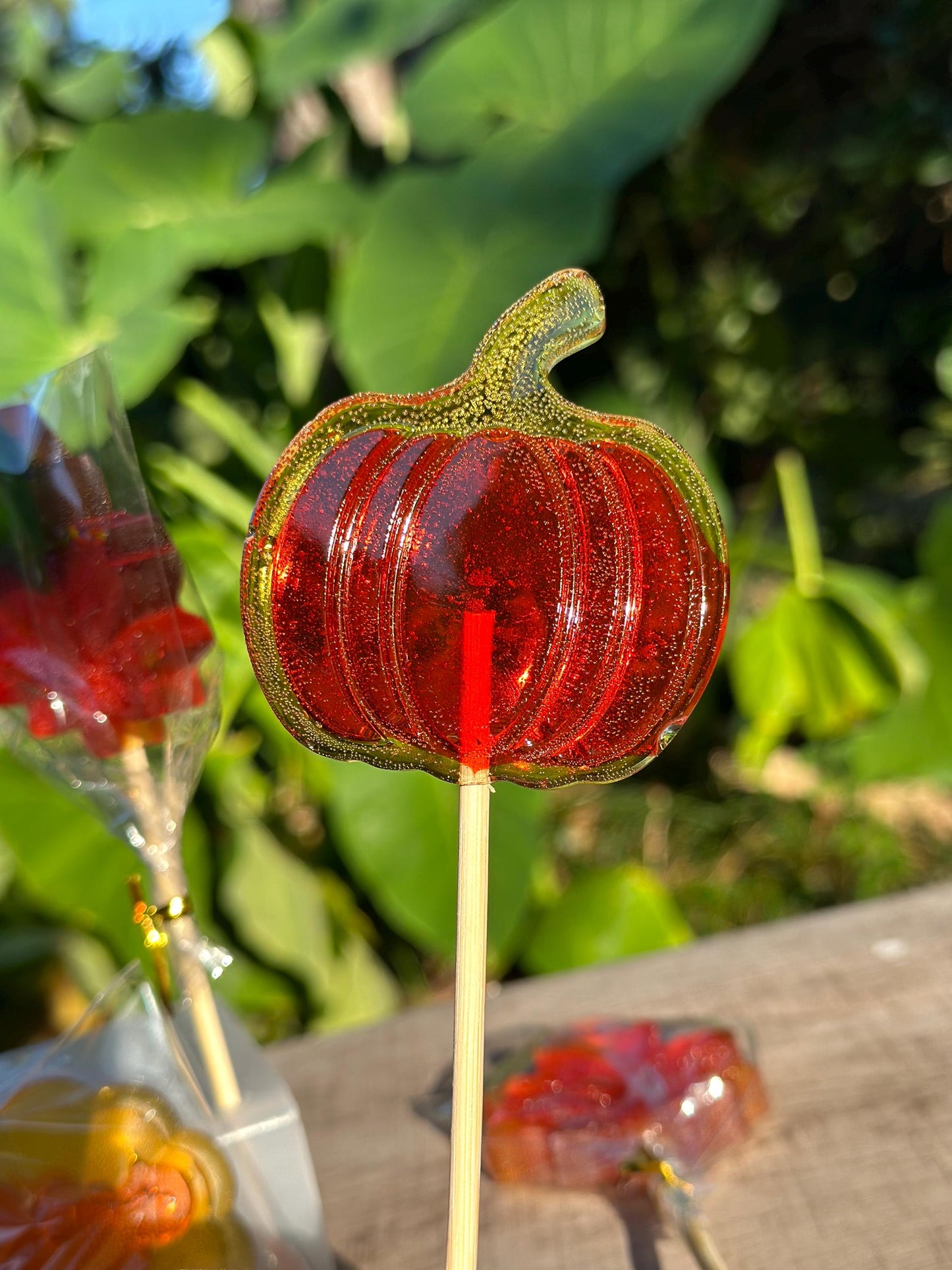 Pumpkin lollipops displayed outdoors in greenery, fall party candy