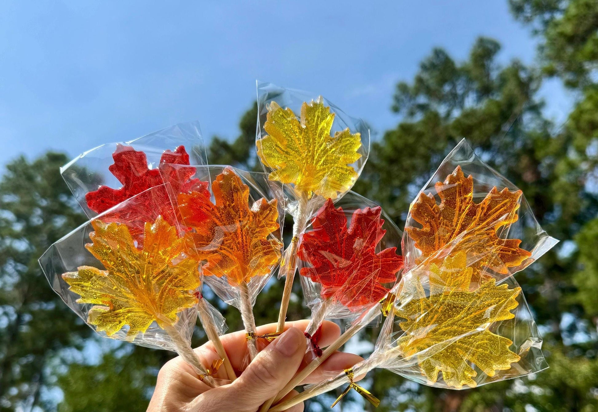 25 Autumn sweets. Maple leaf lollipops candy.Bachelorette Party. Baby shower gift. Weding favours. Birthday party gifts. Thanksgiving treats