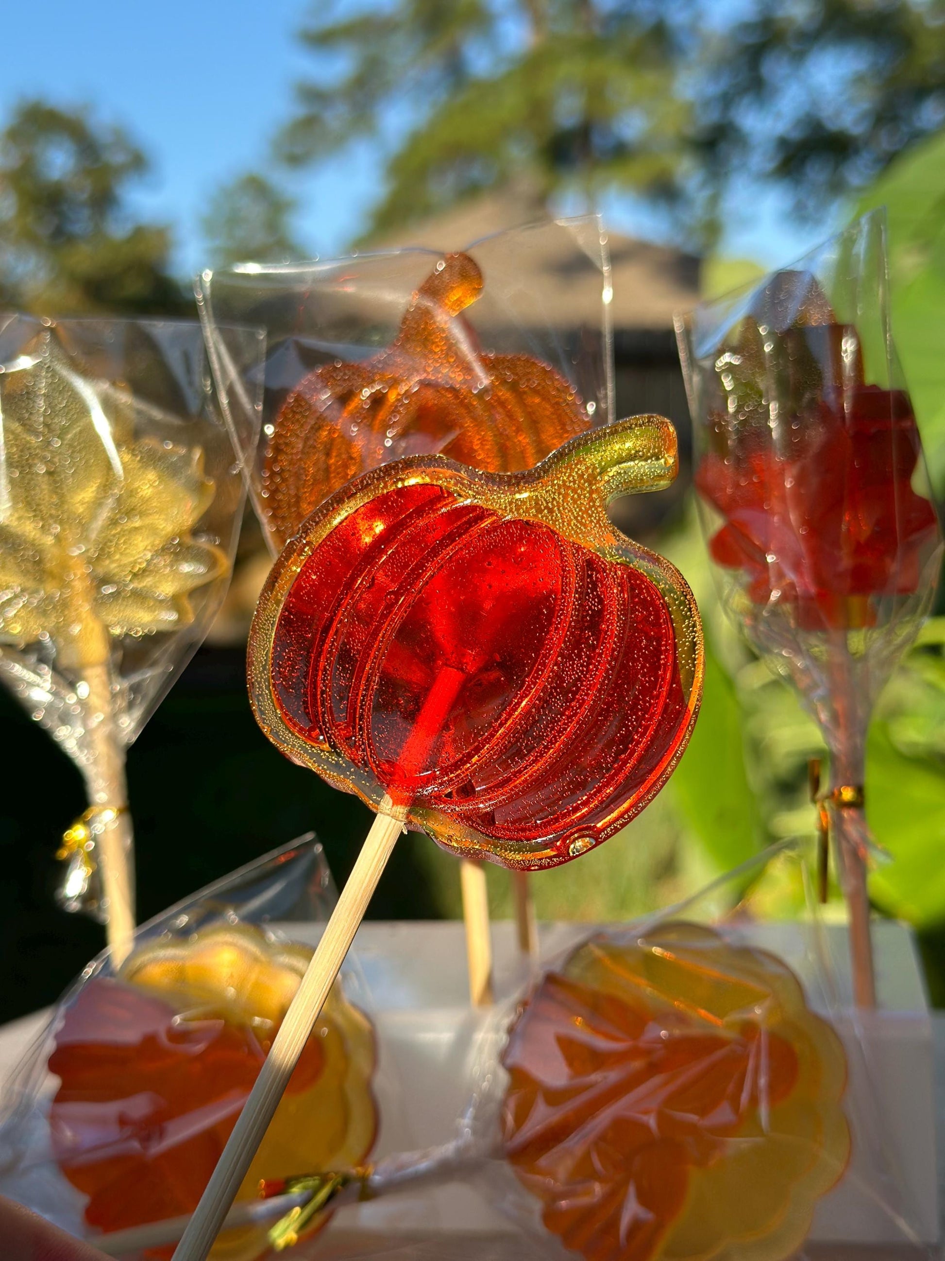 Assorted fall lollipops including pumpkins and leaves in orange, red and yellow