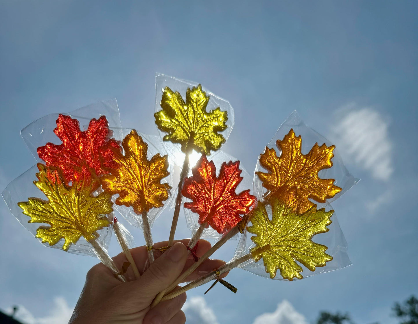 25 Autumn sweets. Maple leaf lollipops candy.Bachelorette Party. Baby shower gift. Weding favours. Birthday party gifts. Thanksgiving treats