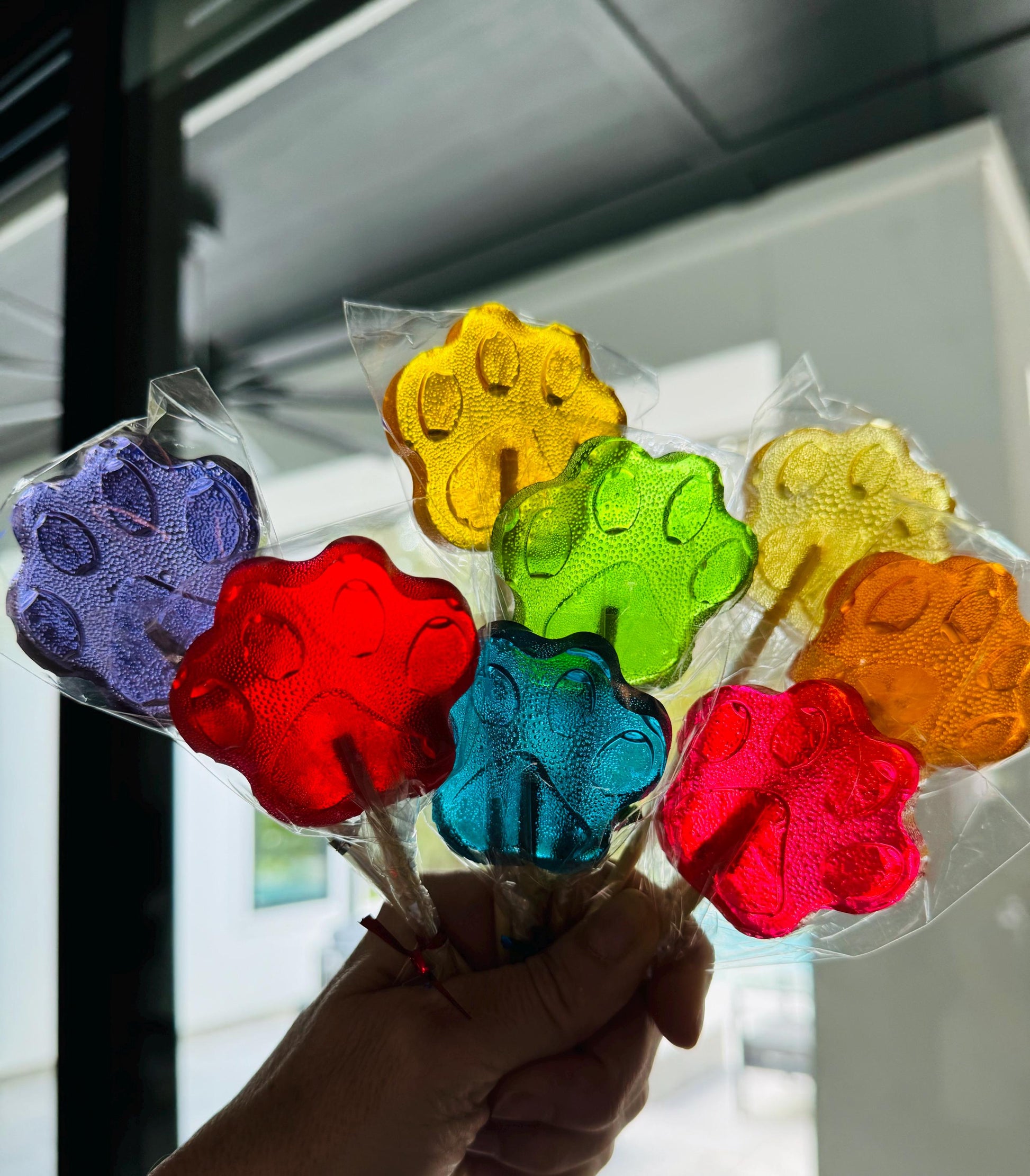 Bouquet of paw print lollipops in purple, red, green, blue and orange on wooden sticks