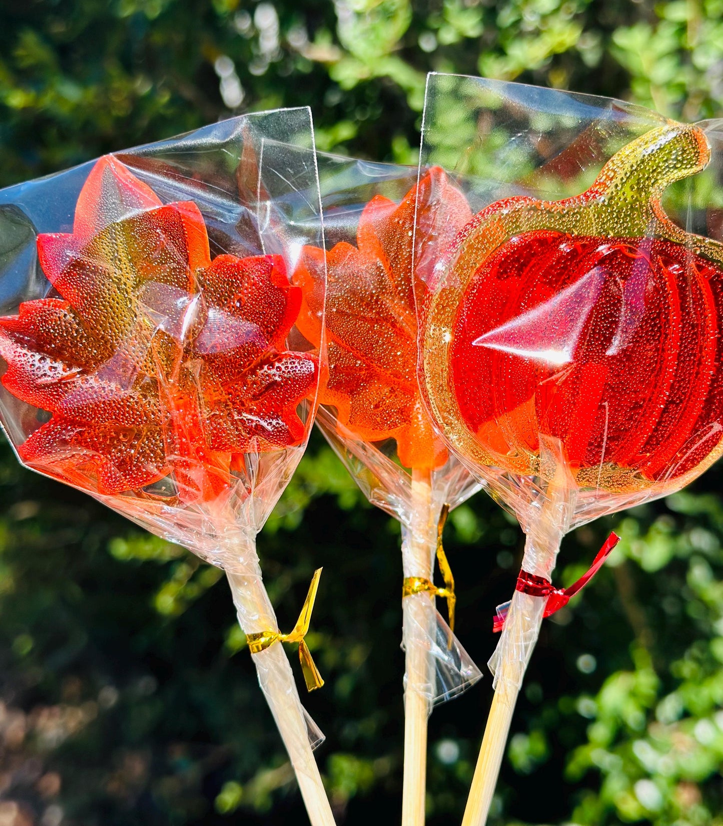 Pumpkin and leaf shaped lollipops in clear autumn candy