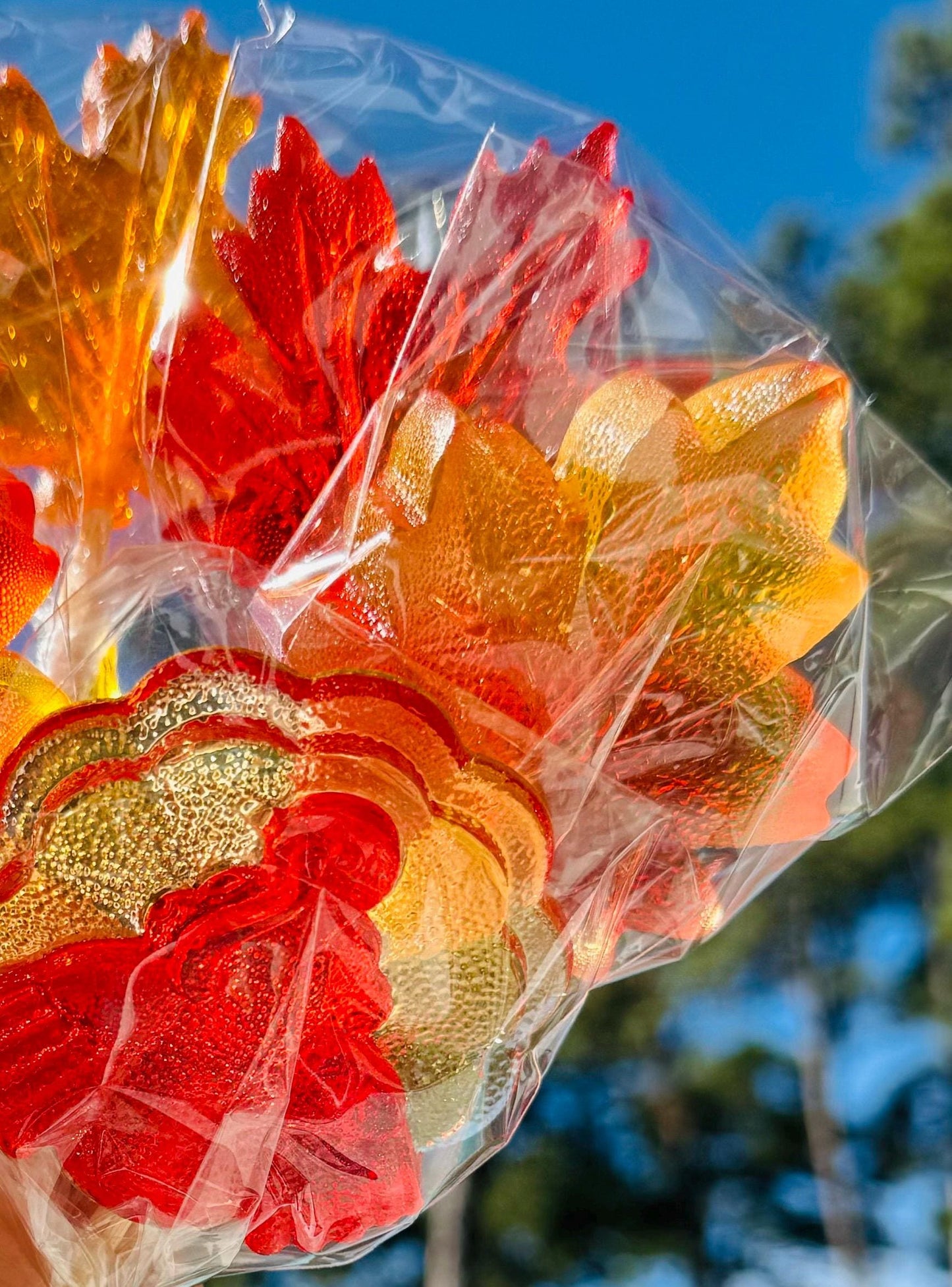 Bouquet of candy autumn leaves in red, orange and yellow with a glossy finish