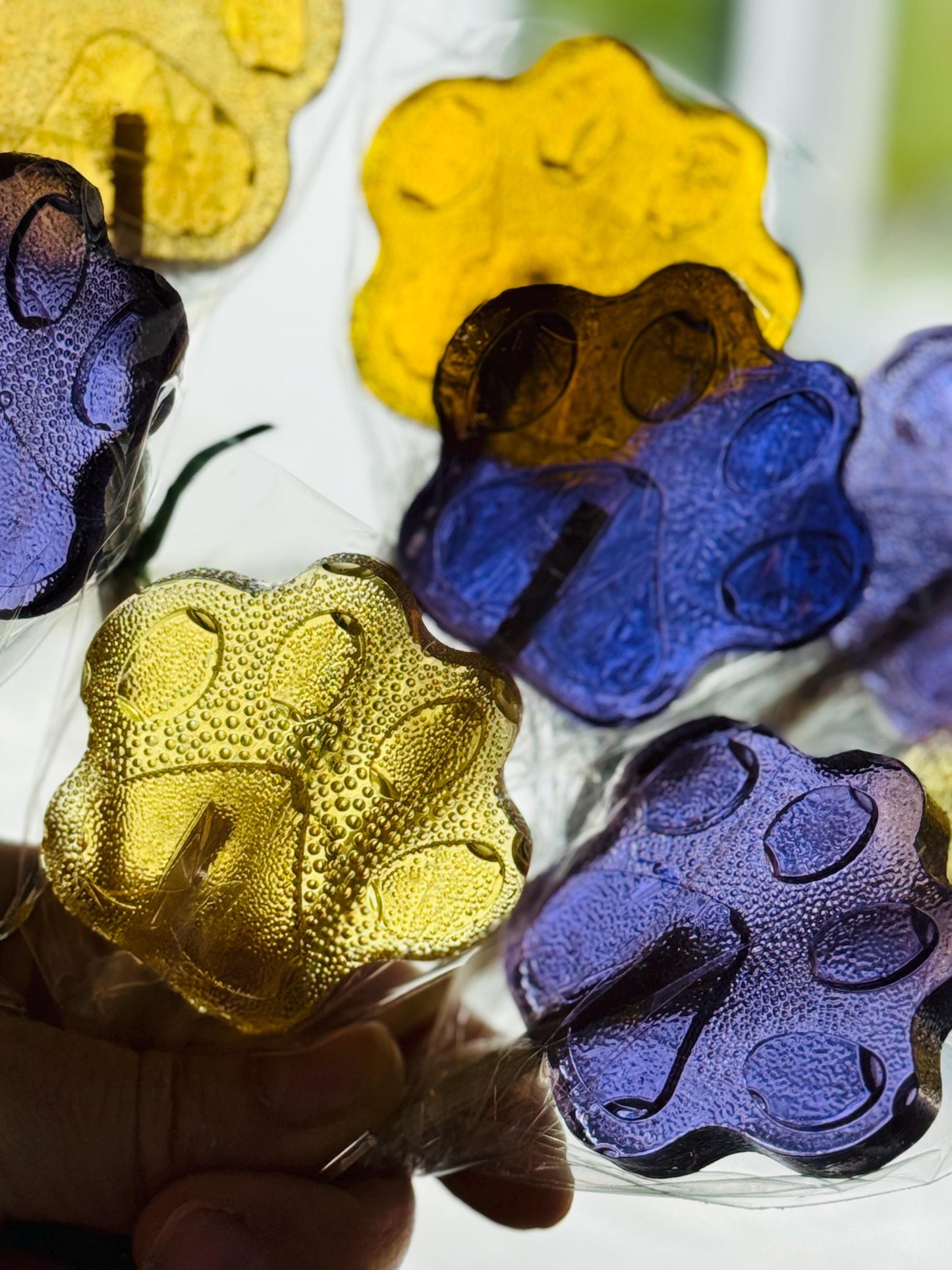 Bouquet of colorful paw shaped lollipops wrapped in clear cellophane