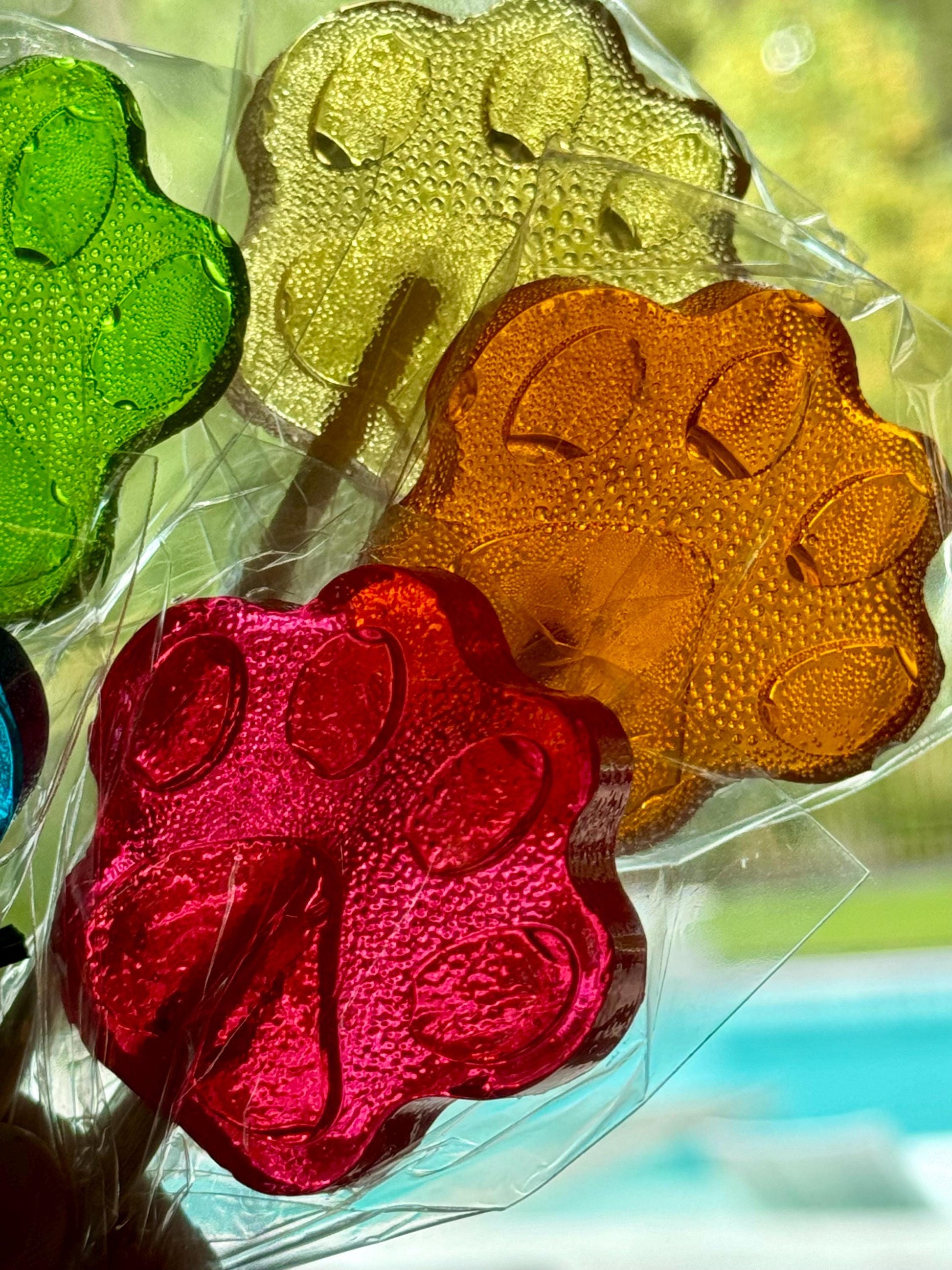 Four paw print lollipops in green, yellow, orange and red, individually wrapped
