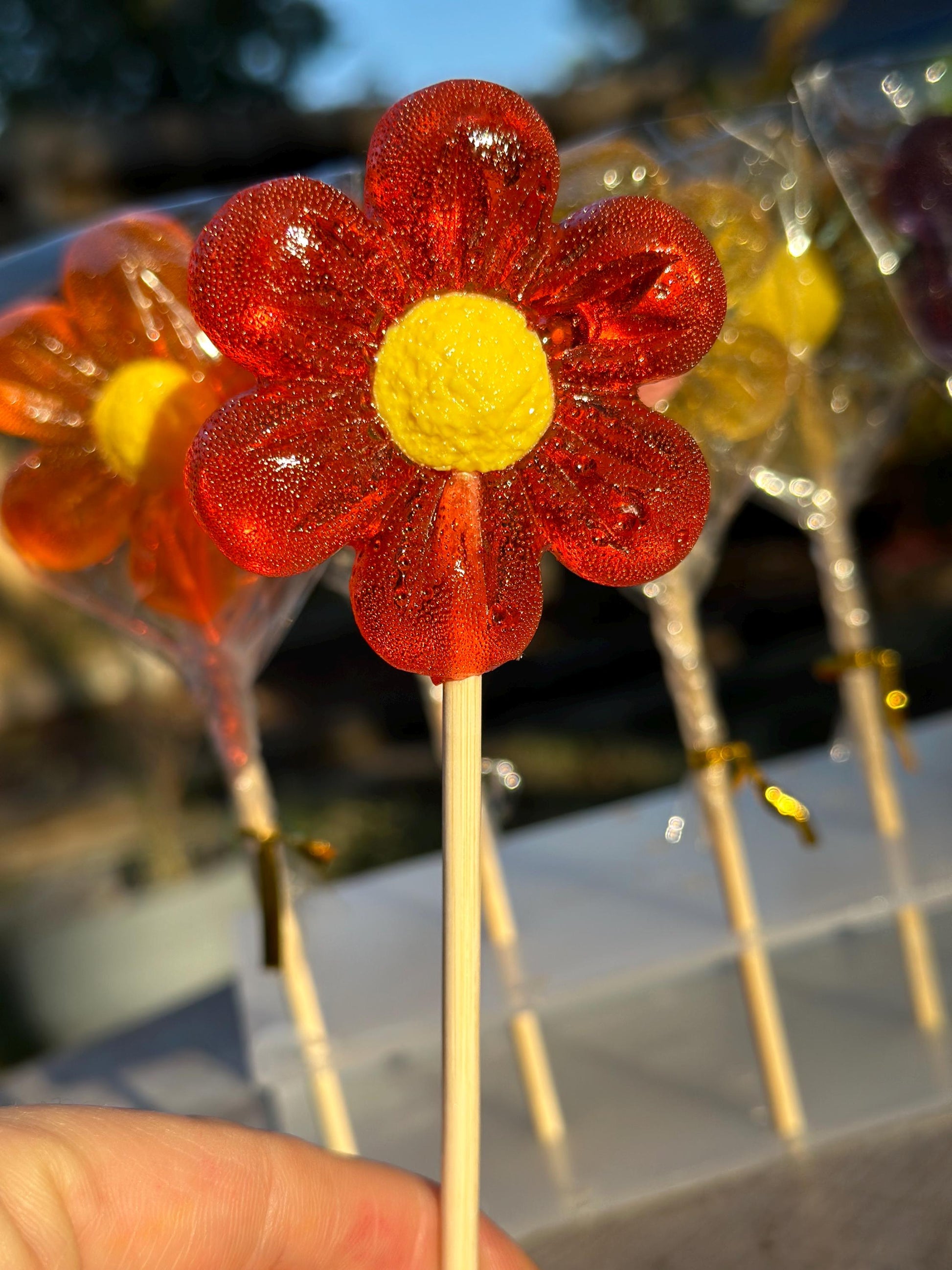 Close-up of a handcrafted flower lollipop with glossy red petals and a bright yellow center, held on a wooden stick. The translucent candy sparkles in natural sunlight, highlighting its vibrant color and artisanal texture. Perfect for party favors, birthday gifts, spring celebrations, or candy bouquets. Individually wrapped in clear cellophane for freshness and gifting appeal.