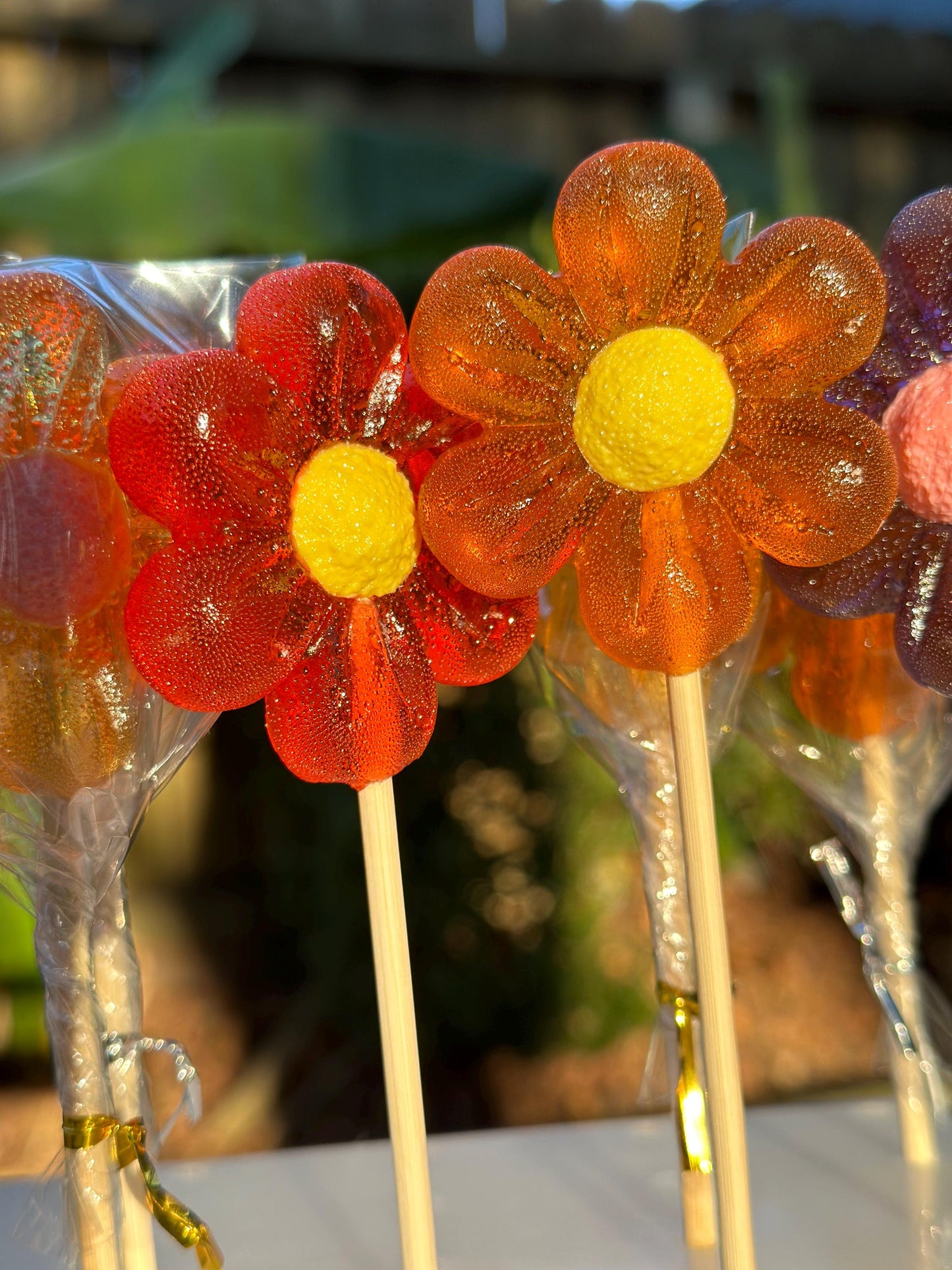 Two handcrafted daisy-shaped lollipops in vibrant red-orange and golden amber tones with bright yellow centers. These glossy flower candies are wrapped in clear cellophane and mounted on wooden sticks, catching warm sunlight for a glowing finish. Perfect for party favors, Easter baskets, birthday treats, or seasonal candy gifts.